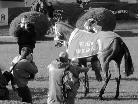 Kliknij na zdjęcie, żeby zobaczyć w pełnych wymiarach