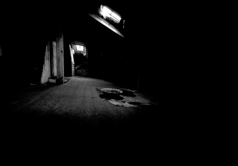 Kliknij na zdjęcie, żeby zobaczyć w pełnych wymiarach