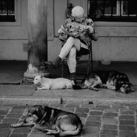 Kliknij na zdjęcie, żeby zobaczyć w pełnych wymiarach