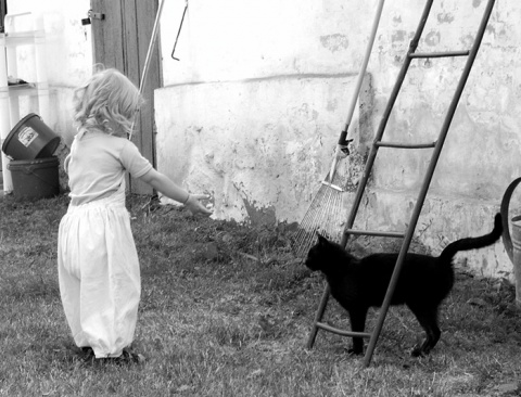 Kliknij na zdjęcie, żeby zobaczyć w pełnych wymiarach