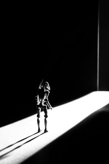 Kliknij na zdjęcie, żeby zobaczyć w pełnych wymiarach