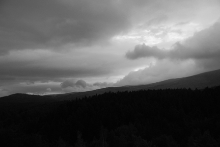 Kliknij na zdjęcie, żeby zobaczyć w pełnych wymiarach