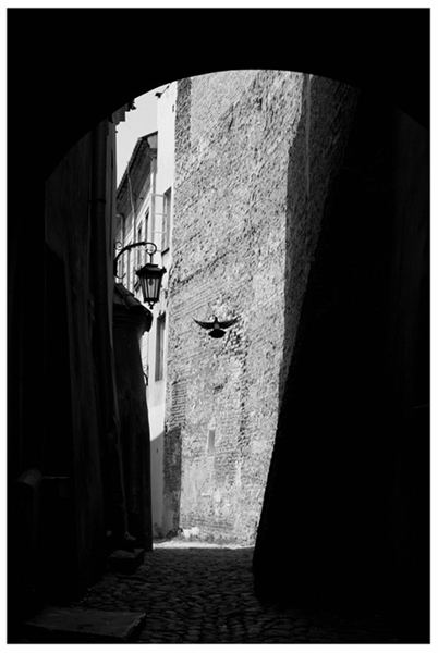 Kliknij na zdjęcie, żeby zobaczyć w pełnych wymiarach