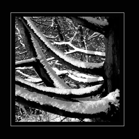 Kliknij na zdjęcie, żeby zobaczyć w pełnych wymiarach