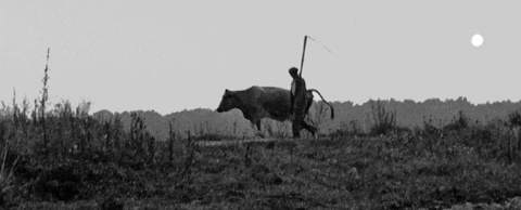 Kliknij na zdjęcie, żeby zobaczyć w pełnych wymiarach