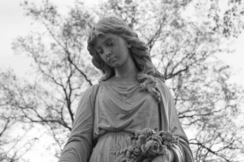 Kliknij na zdjęcie, żeby zobaczyć w pełnych wymiarach