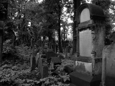 Kliknij na zdjęcie, żeby zobaczyć w pełnych wymiarach