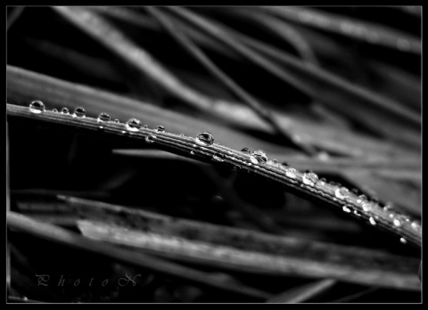 Kliknij na zdjęcie, żeby zobaczyć w pełnych wymiarach