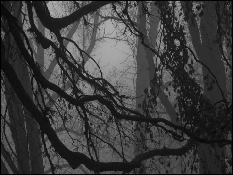 Kliknij na zdjęcie, żeby zobaczyć w pełnych wymiarach