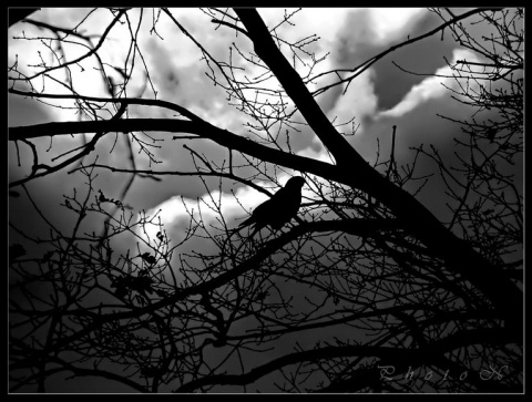 Kliknij na zdjęcie, żeby zobaczyć w pełnych wymiarach