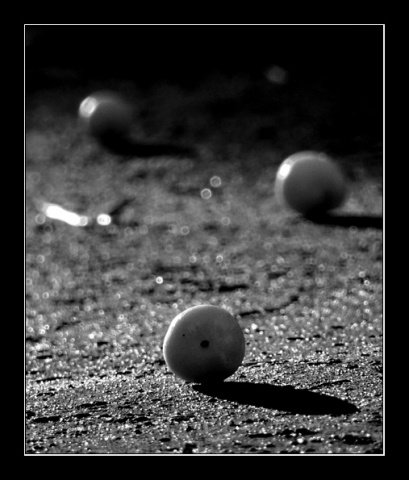 Kliknij na zdjęcie, żeby zobaczyć w pełnych wymiarach