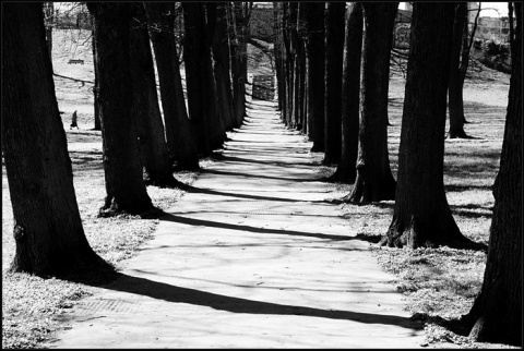 Kliknij na zdjęcie, żeby zobaczyć w pełnych wymiarach