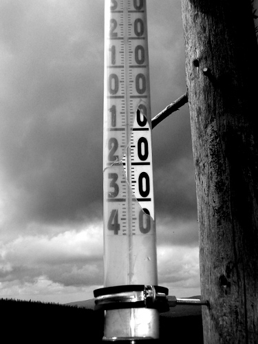 Kliknij na zdjęcie, żeby zobaczyć w pełnych wymiarach