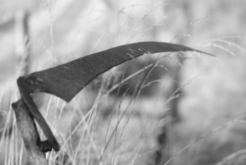 Kliknij na zdjęcie, żeby zobaczyć w pełnych wymiarach