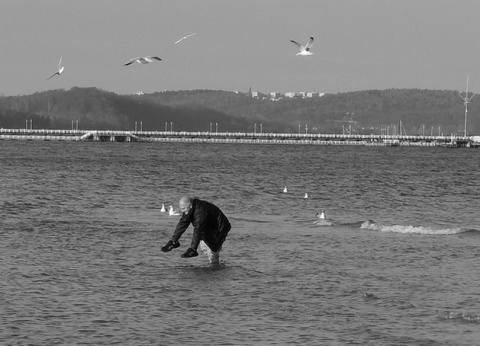 Kliknij na zdjęcie, żeby zobaczyć w pełnych wymiarach