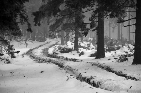 Kliknij na zdjęcie, żeby zobaczyć w pełnych wymiarach