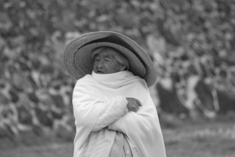 Kliknij na zdjęcie, żeby zobaczyć w pełnych wymiarach