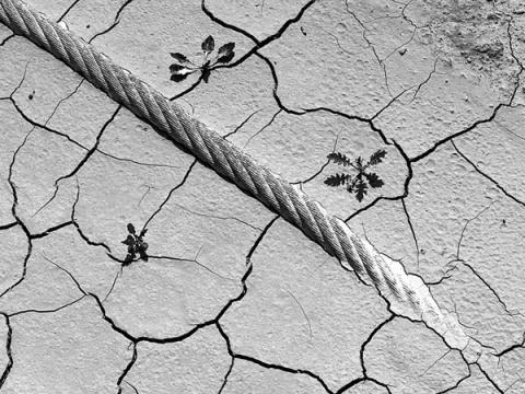 Kliknij na zdjęcie, żeby zobaczyć w pełnych wymiarach