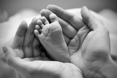 Kliknij na zdjęcie, żeby zobaczyć w pełnych wymiarach