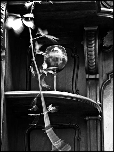 Kliknij na zdjęcie, żeby zobaczyć w pełnych wymiarach