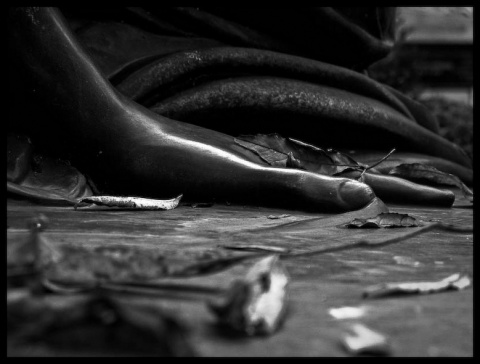 Kliknij na zdjęcie, żeby zobaczyć w pełnych wymiarach