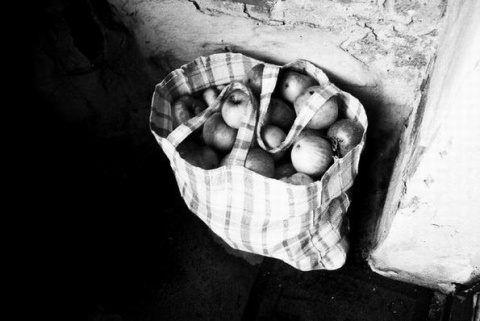 Kliknij na zdjęcie, żeby zobaczyć w pełnych wymiarach