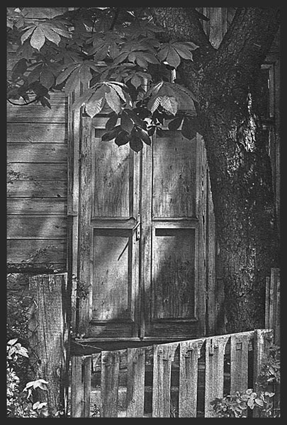 Kliknij na zdjęcie, żeby zobaczyć w pełnych wymiarach