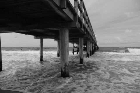 Kliknij na zdjęcie, żeby zobaczyć w pełnych wymiarach