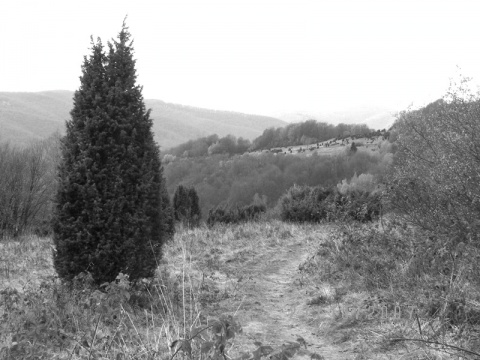 Kliknij na zdjęcie, żeby zobaczyć w pełnych wymiarach