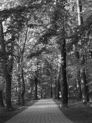 Kliknij na zdjęcie, żeby zobaczyć w pełnych wymiarach