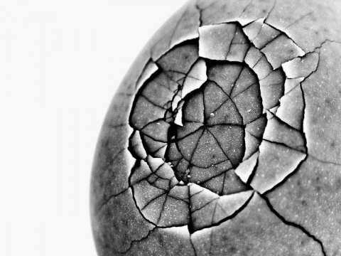 Kliknij na zdjęcie, żeby zobaczyć w pełnych wymiarach