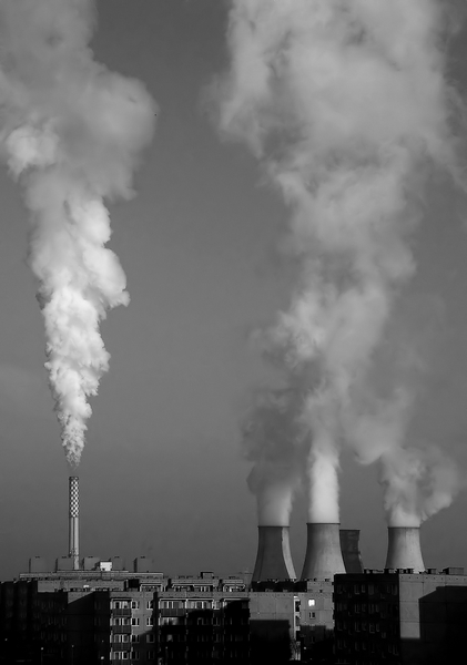 Kliknij na zdjęcie, żeby zobaczyć w pełnych wymiarach