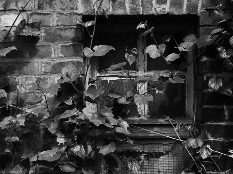 Kliknij na zdjęcie, żeby zobaczyć w pełnych wymiarach