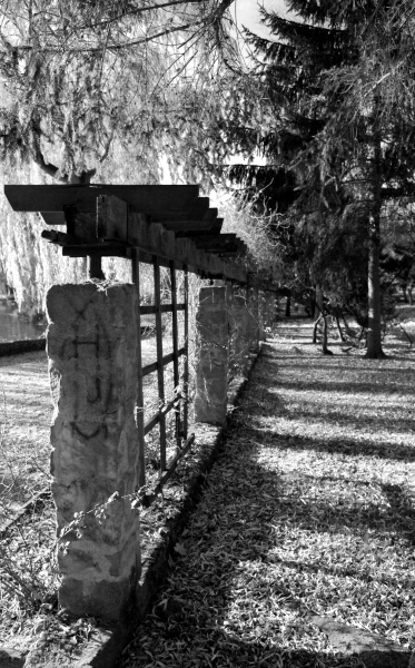 Kliknij na zdjęcie, żeby zobaczyć w pełnych wymiarach