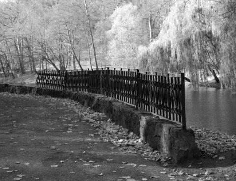 Kliknij na zdjęcie, żeby zobaczyć w pełnych wymiarach