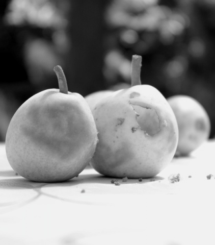 Kliknij na zdjęcie, żeby zobaczyć w pełnych wymiarach