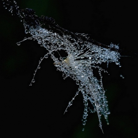 Kliknij na zdjęcie, żeby zobaczyć w pełnych wymiarach