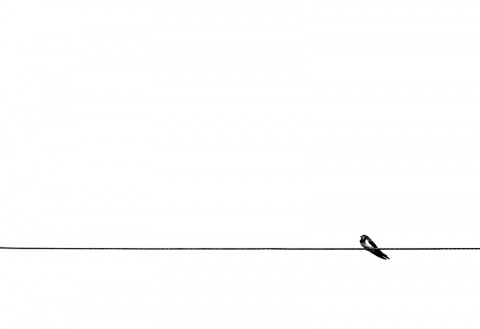 Kliknij na zdjęcie, żeby zobaczyć w pełnych wymiarach