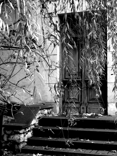 Kliknij na zdjęcie, żeby zobaczyć w pełnych wymiarach