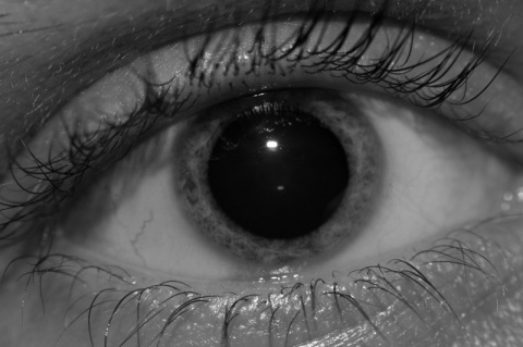 Kliknij na zdjęcie, żeby zobaczyć w pełnych wymiarach