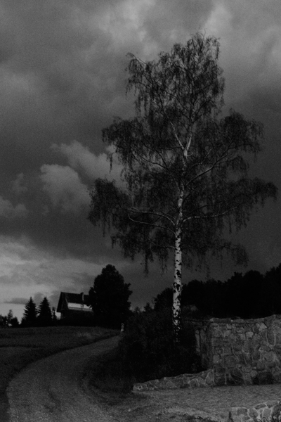 Kliknij na zdjęcie, żeby zobaczyć w pełnych wymiarach