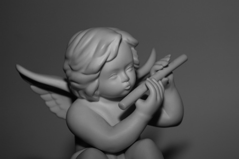 Kliknij na zdjęcie, żeby zobaczyć w pełnych wymiarach