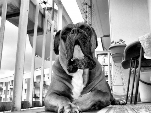 Kliknij na zdjęcie, żeby zobaczyć w pełnych wymiarach