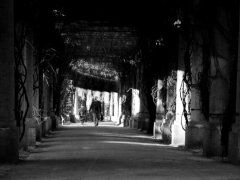 Kliknij na zdjęcie, żeby zobaczyć w pełnych wymiarach