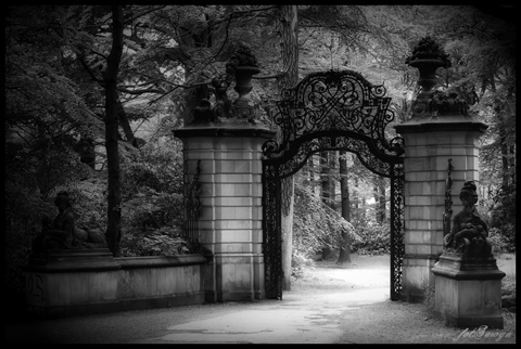 Kliknij na zdjęcie, żeby zobaczyć w pełnych wymiarach