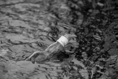 Kliknij na zdjęcie, żeby zobaczyć w pełnych wymiarach