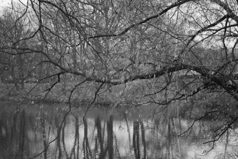 Kliknij na zdjęcie, żeby zobaczyć w pełnych wymiarach