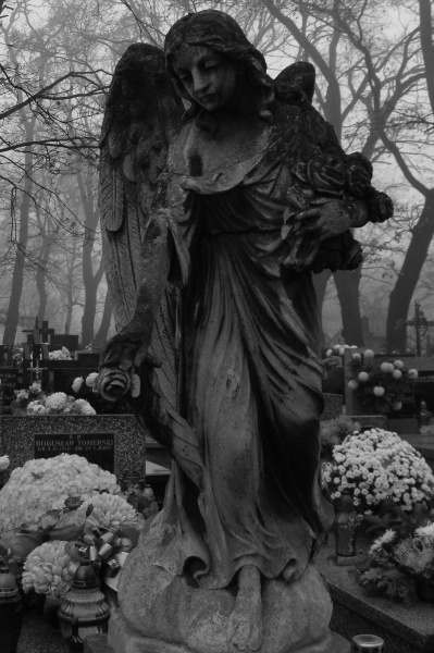 Kliknij na zdjęcie, żeby zobaczyć w pełnych wymiarach