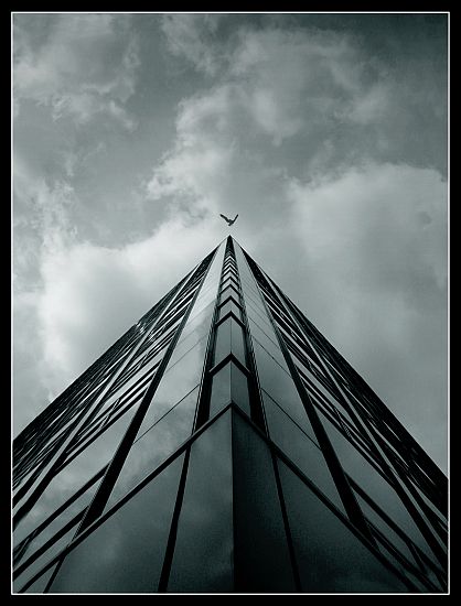 Kliknij na zdjęcie, żeby zobaczyć w pełnych wymiarach