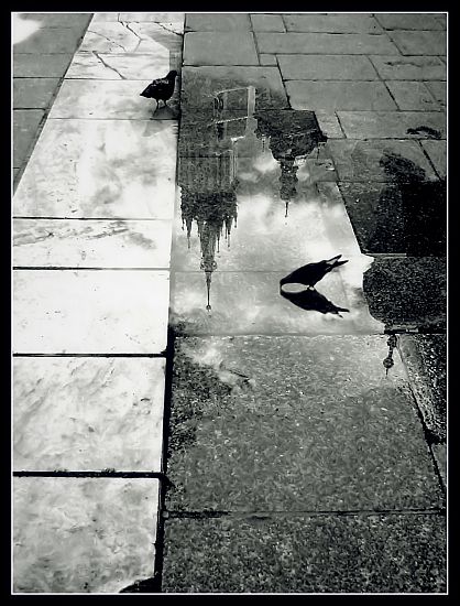 Kliknij na zdjęcie, żeby zobaczyć w pełnych wymiarach